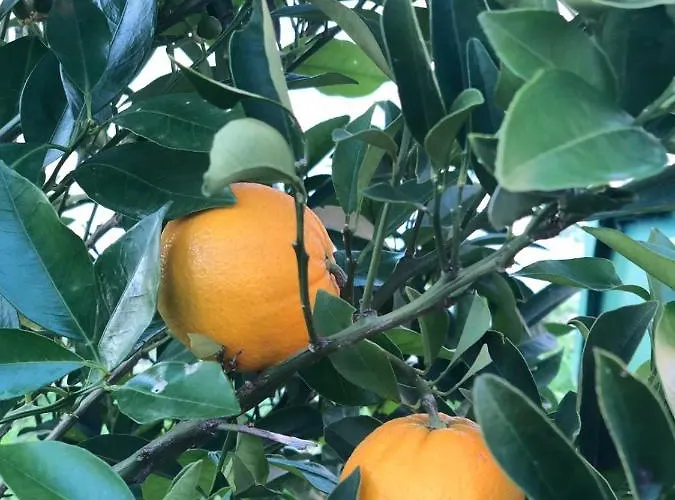 Apartment Vacation Croatia *